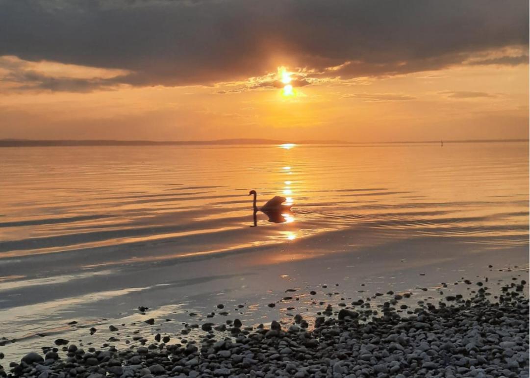 Ferienwohnung Morgensonne Langenargen Bagian luar foto